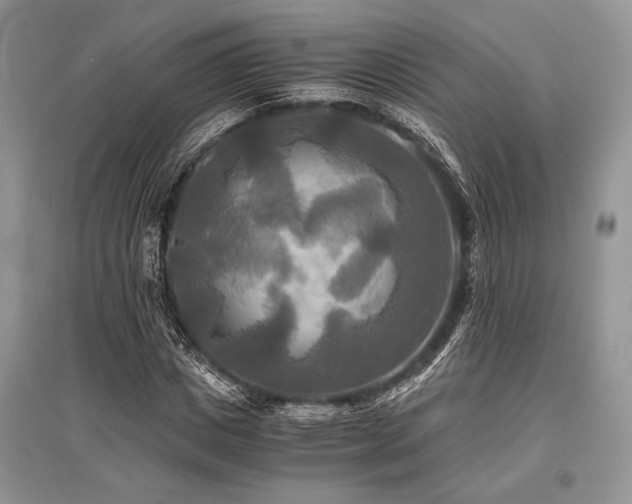 X0000096380825200801241234