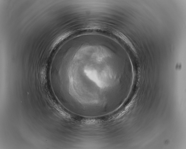 X0000096380826200801241235