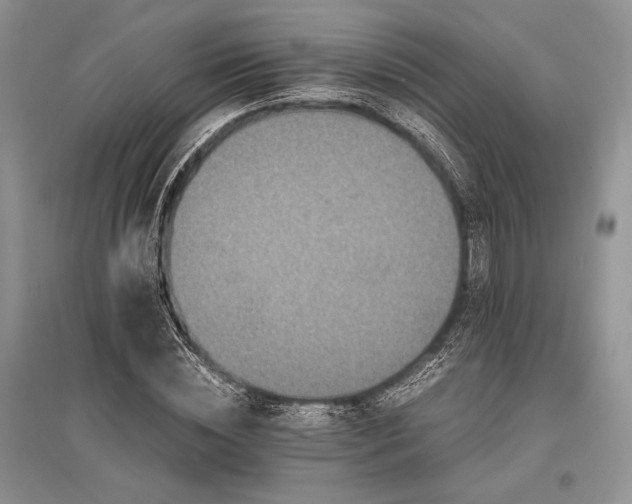 X0000096380828200801241235