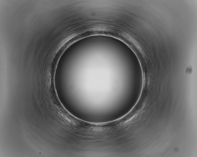 X0000096380829200801241235