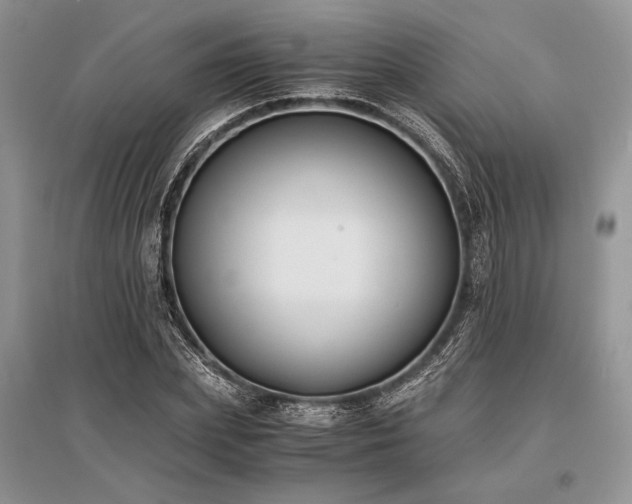X0000096380831200801241235