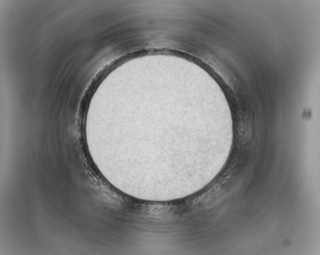 X0000096380832200801241235