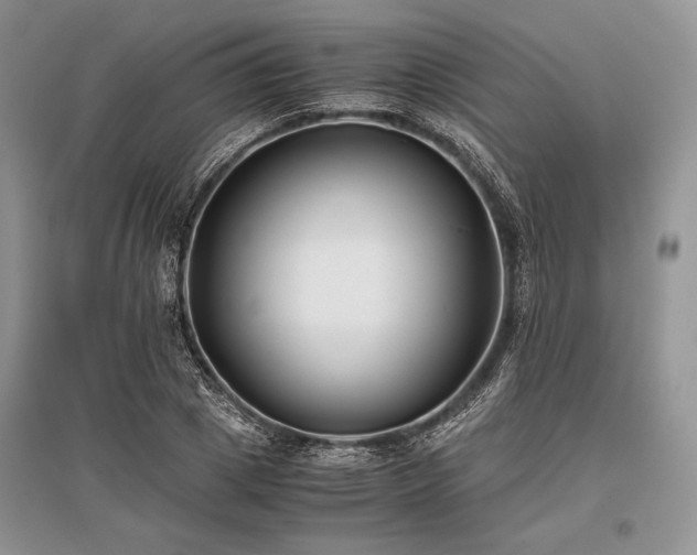 X0000096380833200801241235