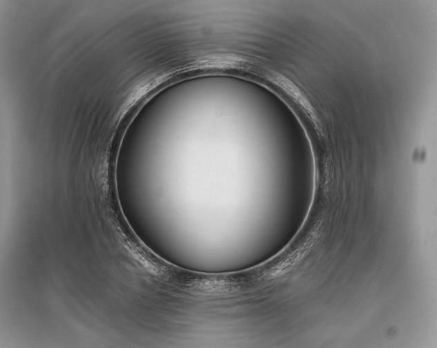 X0000096380834200801241235