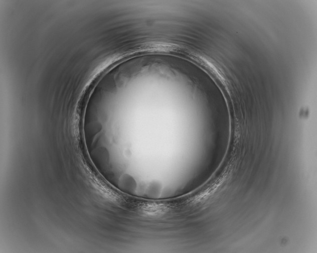 X0000096380835200801241235