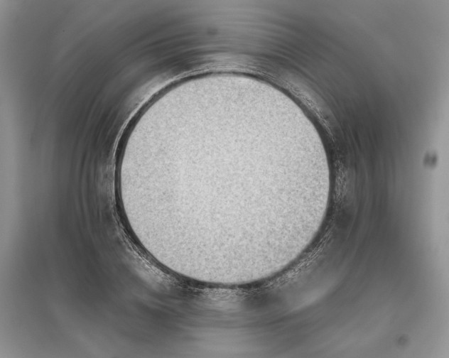 X0000096380836200801241235