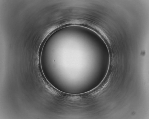 X0000096380837200801241235