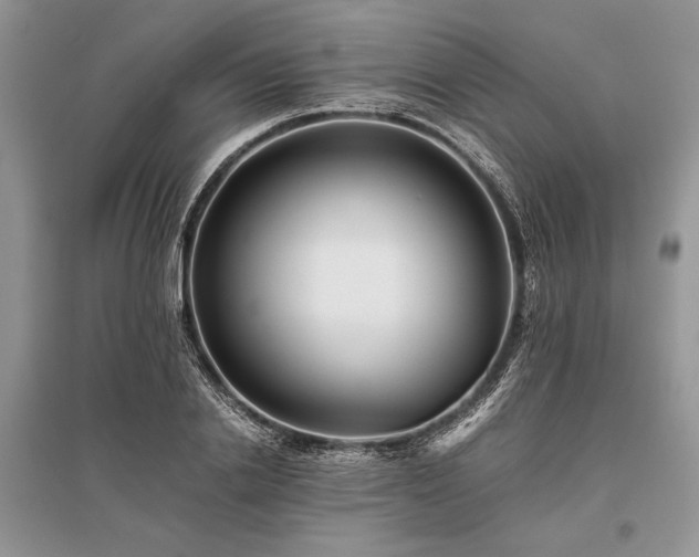 X0000096380838200801241235