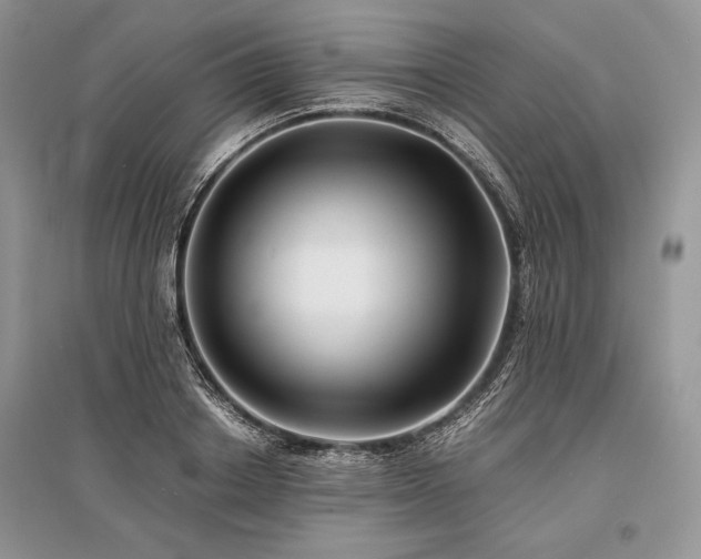 X0000096380842200801241235