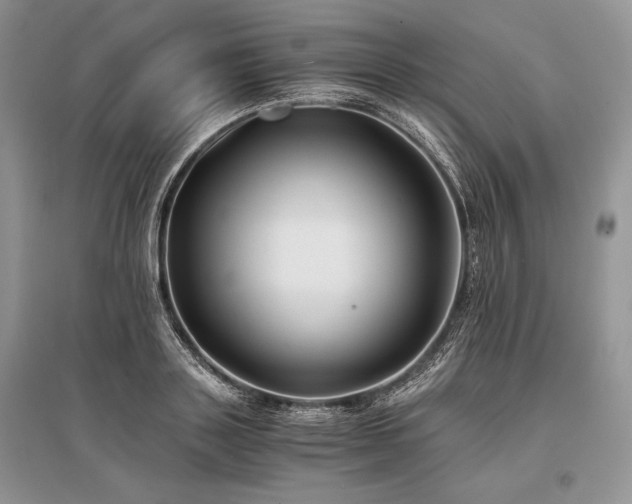 X0000096380843200801241235