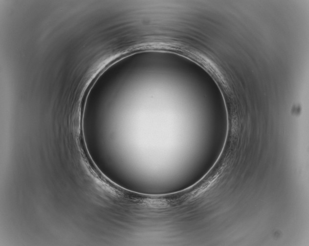X0000096380844200801241235