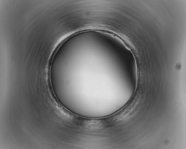 X0000096380846200801241235