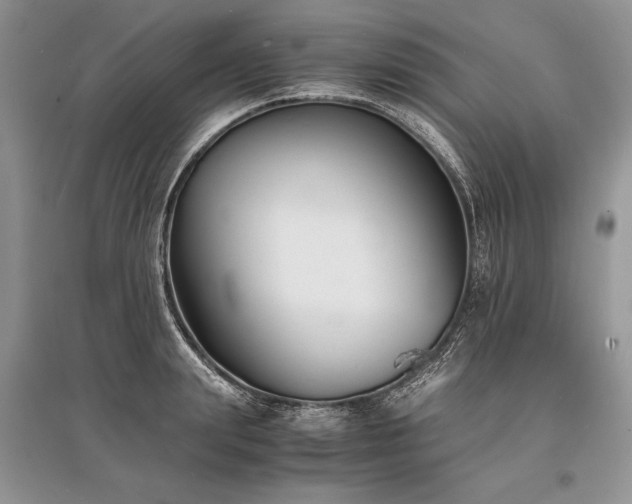 X0000096380847200801241235