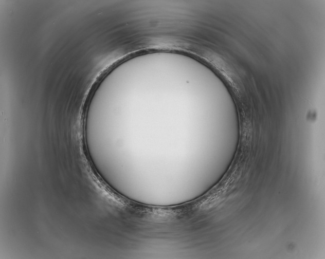 X0000096380848200801241235