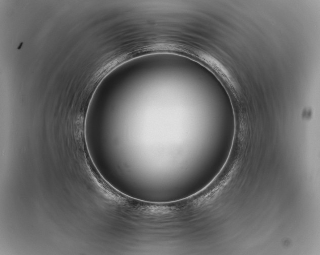 X0000096380849200801241235
