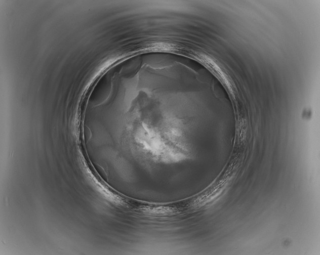 X0000096380851200801241235