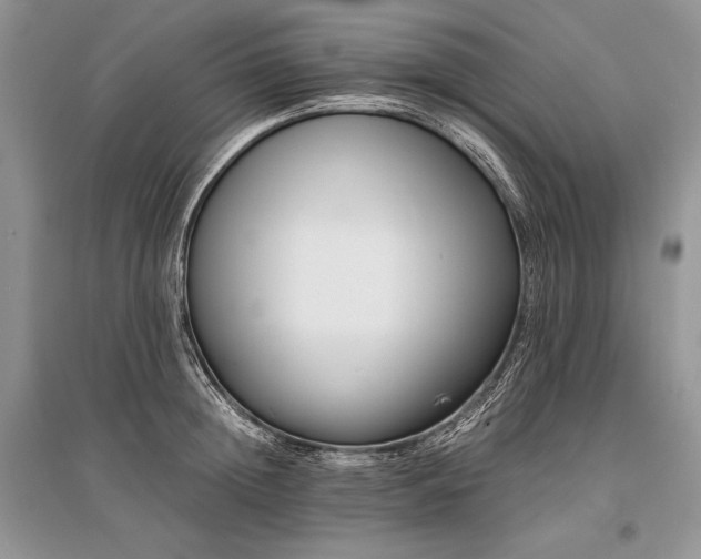X0000096380852200801241235