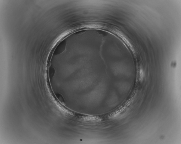 X0000096380853200801241235