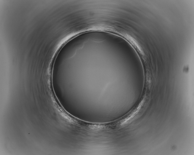 X0000096380854200801241235