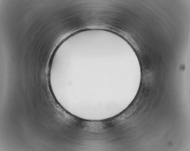 X0000096380856200801241235