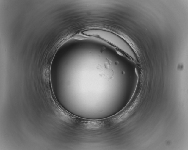 X0000096380857200801241235
