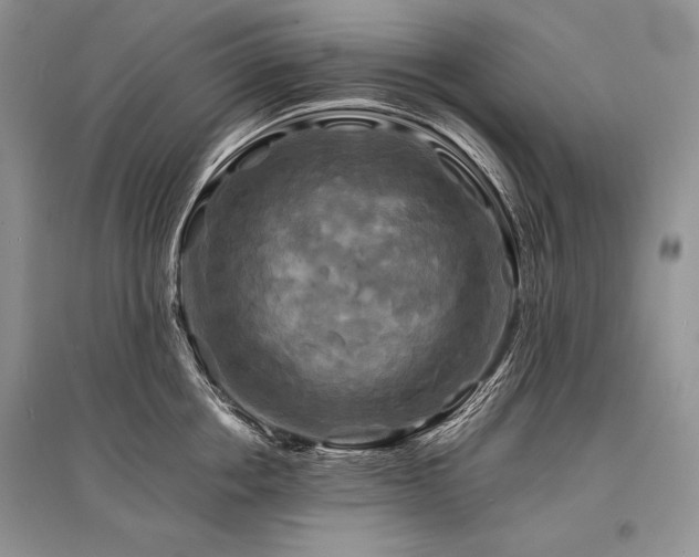 X0000096380858200801241235
