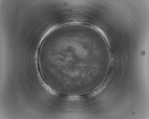 X0000096380859200801241235