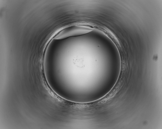 X0000096380860200801241235