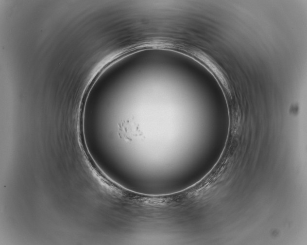 X0000096380861200801241235