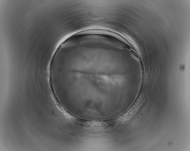X0000096380862200801241235