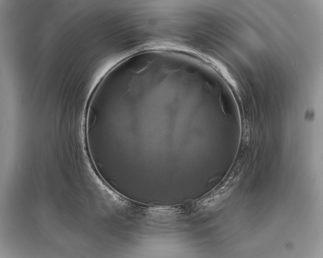 X0000096380863200801241235