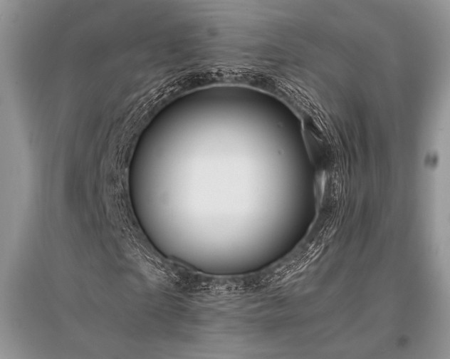 X0000096380865200801241234