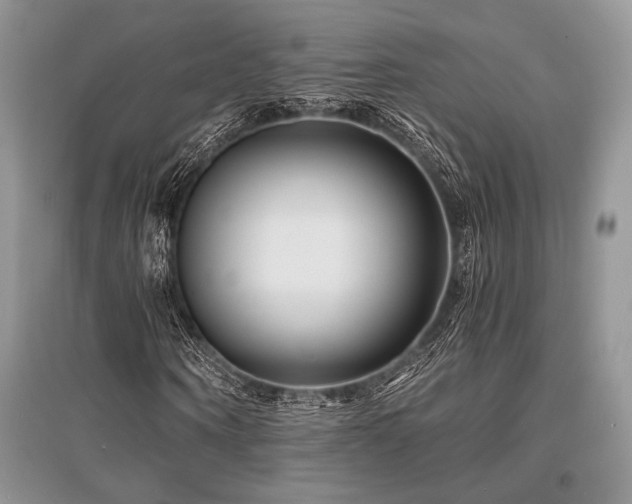 X0000096380866200801241234