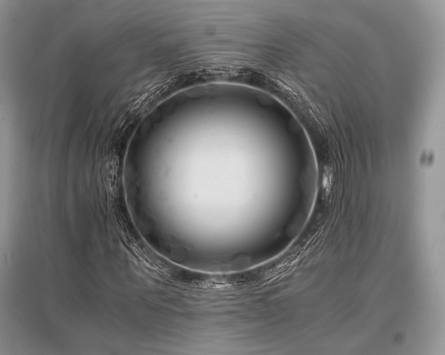 X0000096380867200801241234