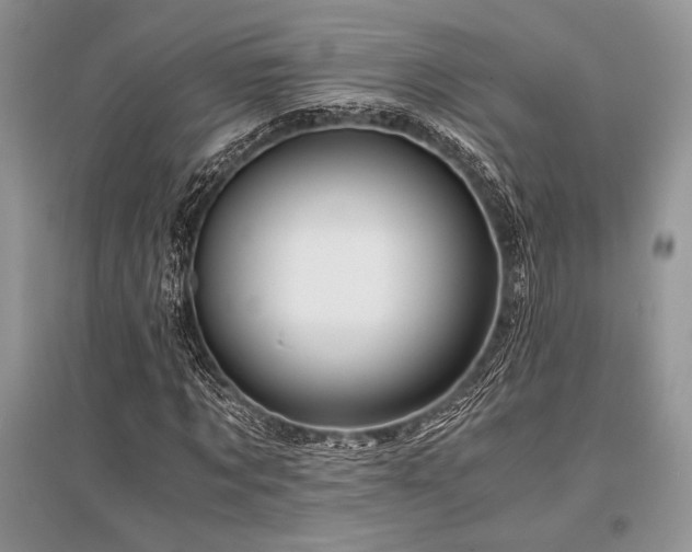 X0000096380869200801241234