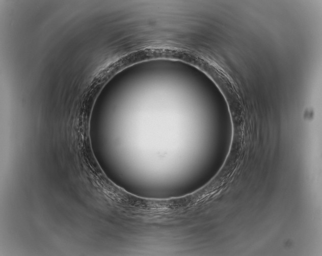 X0000096380870200801241234