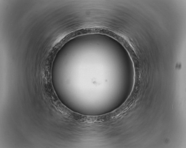 X0000096380871200801241234