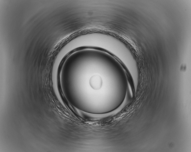 X0000096380872200801241234