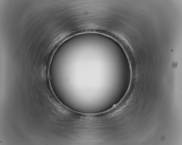 X0000096380873200801241234