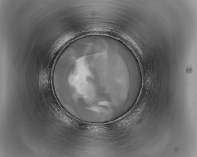 X0000096380874200801241234