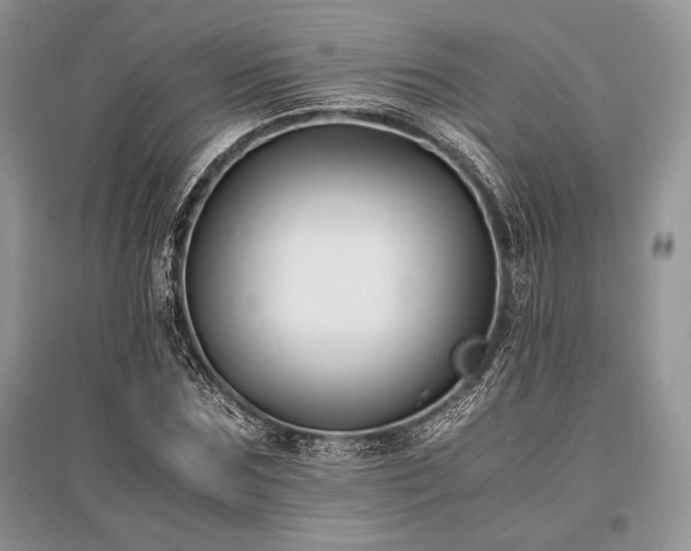 X0000096380875200801241234