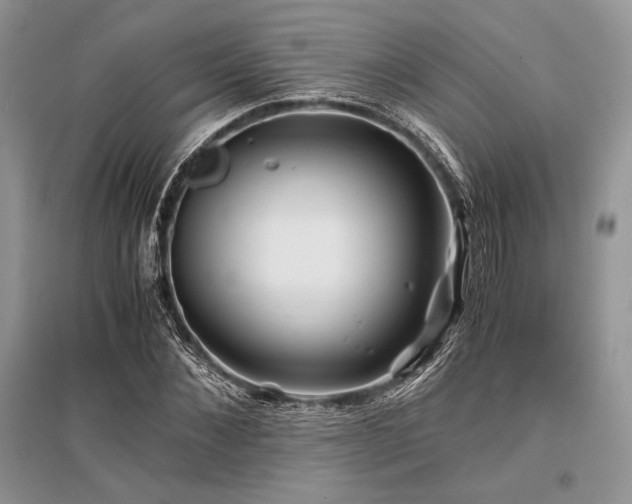 X0000096380876200801241234