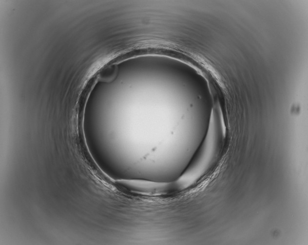 X0000096380877200801241234