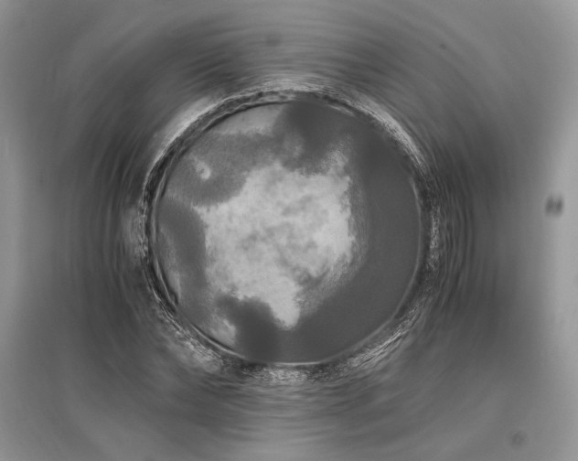 X0000096380878200801241234