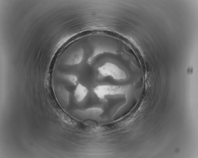 X0000096380879200801241234