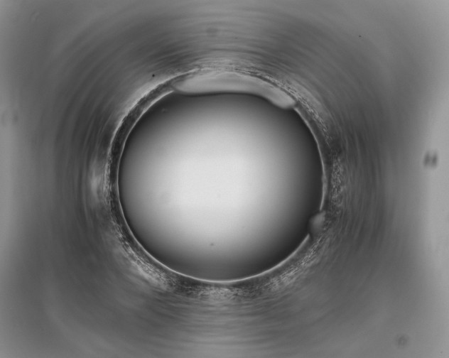 X0000096380880200801241234