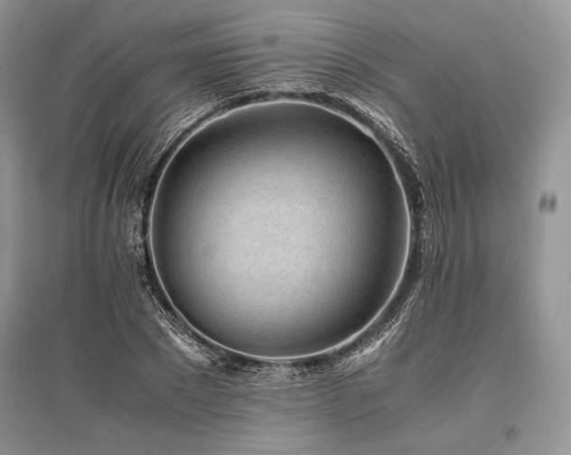 X0000096380881200801241234