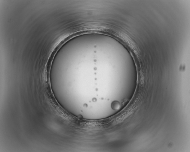 X0000096380883200801241234