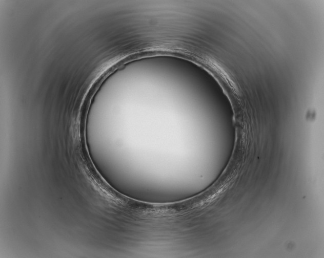 X0000096380884200801241234