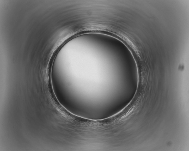 X0000096380885200801241234